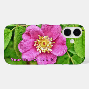 Eine wilde Rose iPhone 16 Hülle