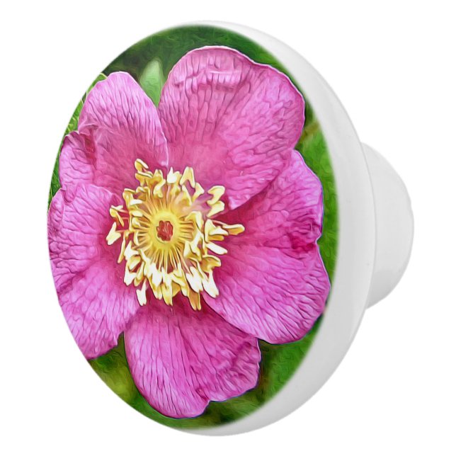 Eine wilde Rose Keramikknauf (Rechts)