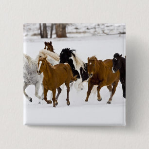 Eine Winterlandschaft mit galoppierenden Pferden Button