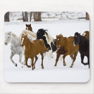 Eine Winterlandschaft mit galoppierenden Pferden Mousepad
