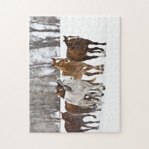 Eine Winterlandschaft mit Laufen