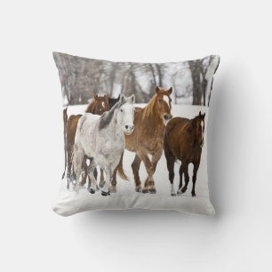 Eine Winterlandschaft mit Laufen Kissen