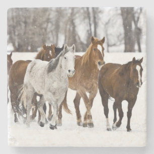 Eine Winterlandschaft mit Laufen Steinuntersetzer