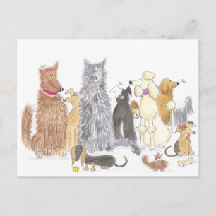 Eine wunderbare Postkarte für Hunde
