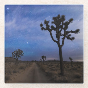 Eine Wüstenstraße und Joshua-Bäume in der Nacht Glasuntersetzer