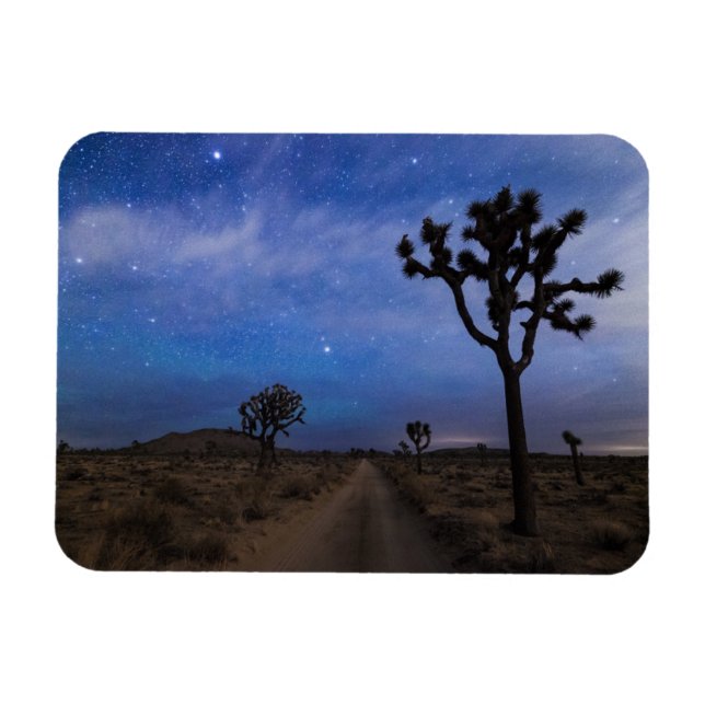 Eine Wüstenstraße und Joshua-Bäume in der Nacht Magnet (Horizontal)
