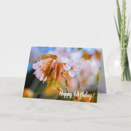 Eine zauberhafte Sakura-Blume auf einer Twig im Fr Karte