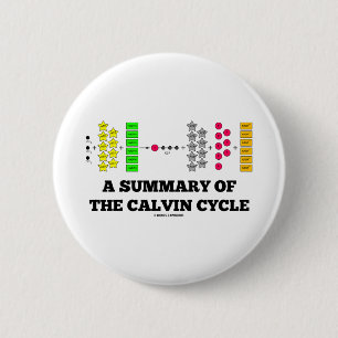 Eine Zusammenfassung des Calvin-Zyklus Button