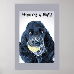 Einen Ball haben! Poster