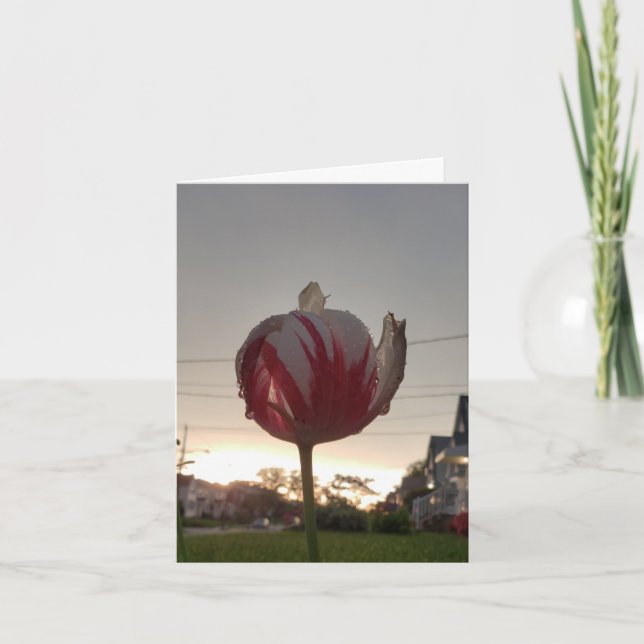 Einen echten Job, Hippie Karte (Vorderseite)