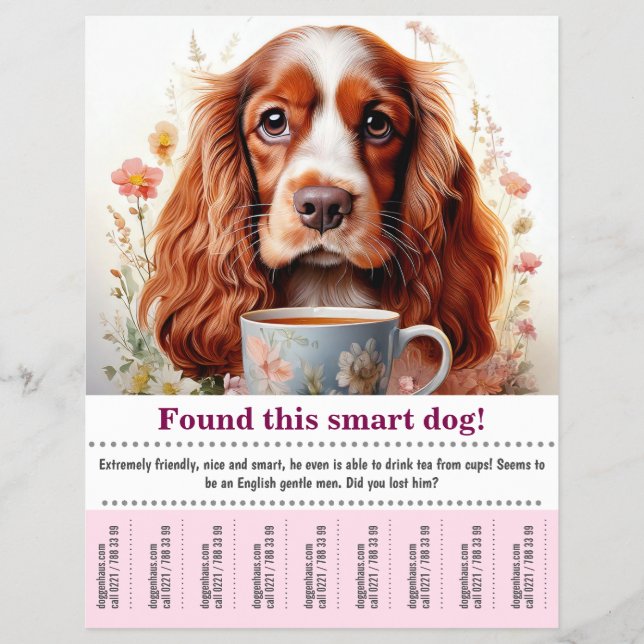 Einen englischen Cocker Spaniel Flyer gefunden (Vorne)