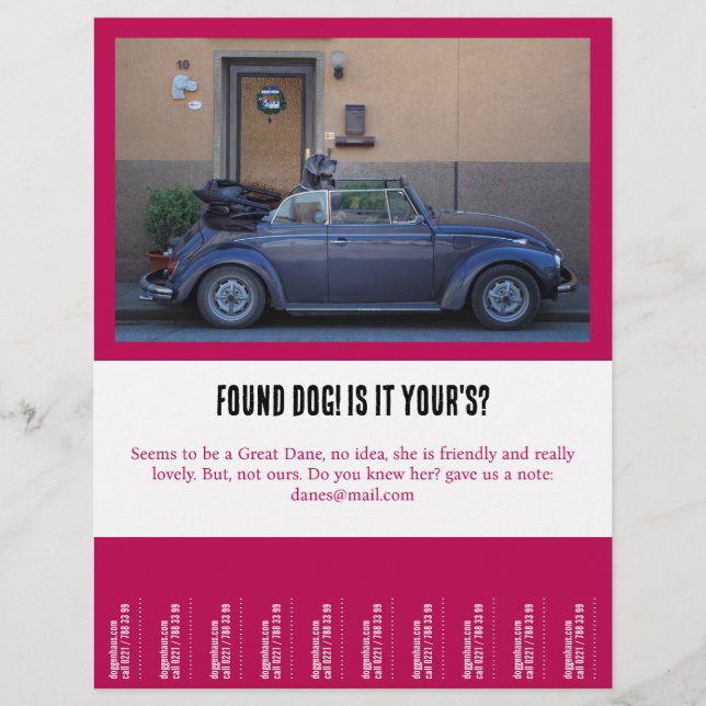 einen Freund gefunden Flyer (Vorne)