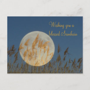 Einen gesegneten Samhain wünschen Postkarte