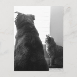Einen ruhigen Moment teilen Postkarte