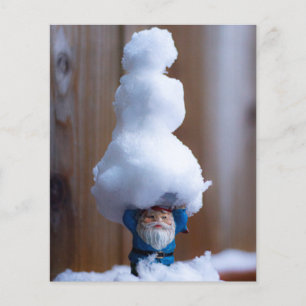 Einen Snowman V bauen