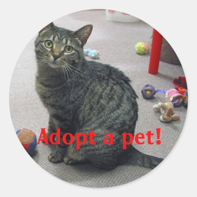 Einen Sticker für Haustiere adoptiert (Vorderseite)