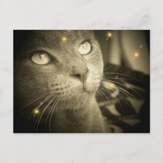 Einen Wunsch machen Postkarte