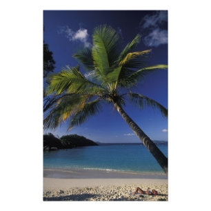 Einer der besten Strände der Welt: die Trunk Bay a Fotodruck