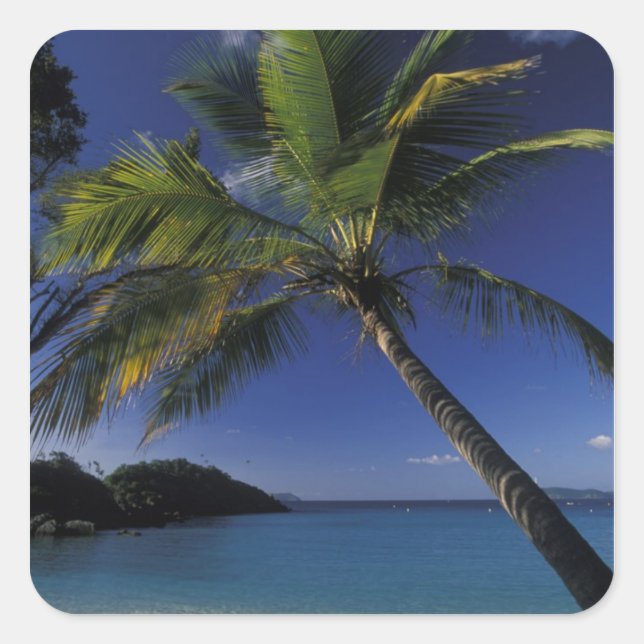 Einer der besten Strände der Welt: die Trunk Bay a Quadratischer Aufkleber (Vorderseite)