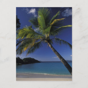 Einer der schönsten Strände der Welt; Trunk Bay au Postkarte