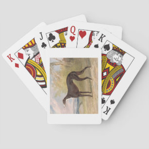 Einer von George Lane Fox's Sieger Greyhounds: B Spielkarten