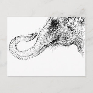 Eines Elefanten treue 100% Postkarte