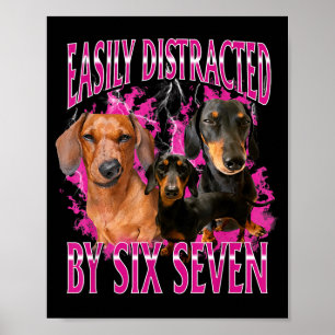 Einfach abgelenkt durch Six Seven 67 Meme Dachshun Poster