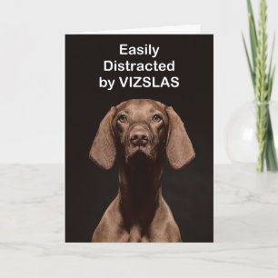 Einfach abgelenkt durch VIZSLAS Karte