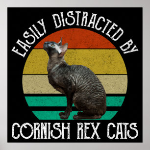 Einfach Ablenkbar Durch Cornish Rex Katzen Poster