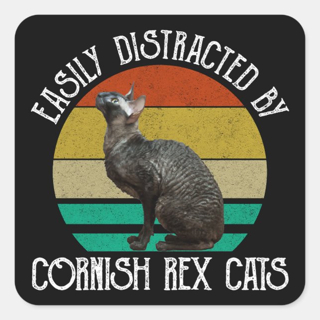Einfach Ablenkbar Durch Cornish Rex Katzen Quadratischer Aufkleber (Vorderseite)