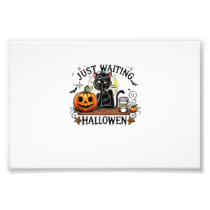 Einfach auf Halloween wartende schwarze Katzenlady Fotodruck