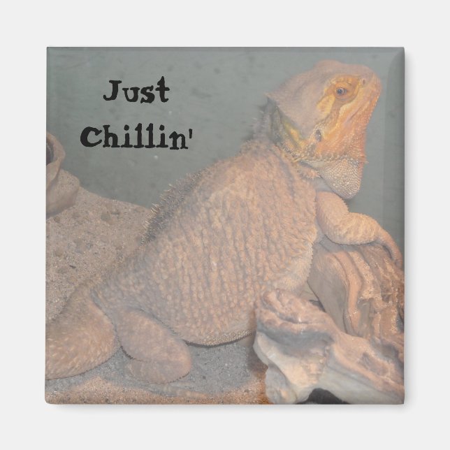 Einfach chillen - Bartagame Magnet (Vorne)