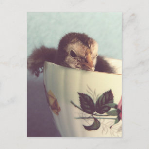 Einfach chillen postkarte