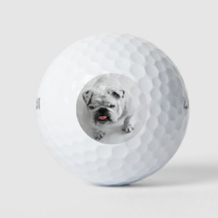 Einfach die Foto-Kennzeichnung Ihres Hundes modern Golfball
