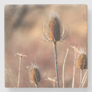 Einfach Distel Steinuntersetzer