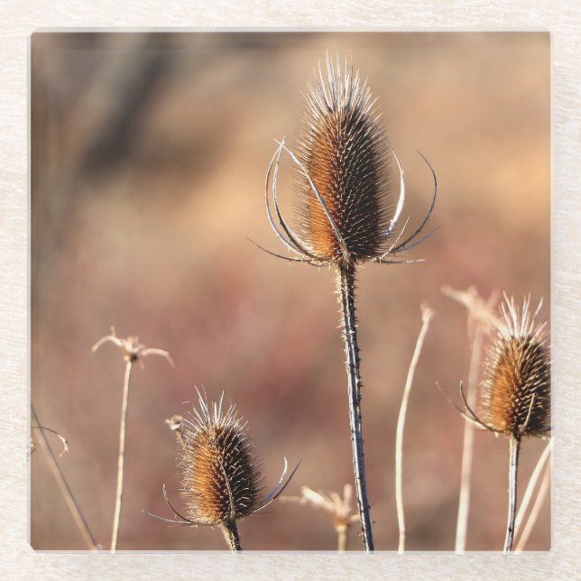 Einfach dünn glasuntersetzer (Vorderseite)