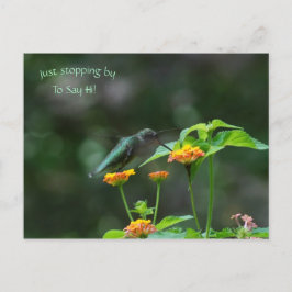 Einfach durch Hummingbird Postkarte stoppen