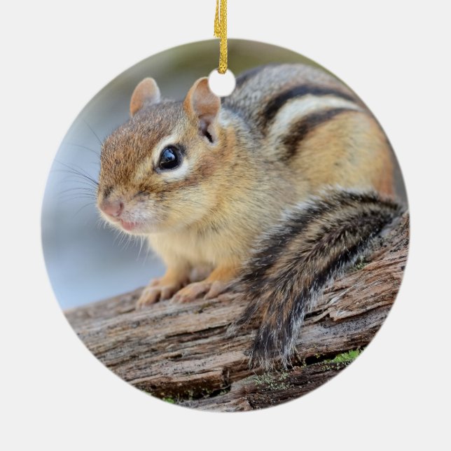 Einfach entzückender kleiner Chipmunk Keramikornament (Hinten)