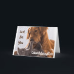 **EINFACH FÜR SIE GRANDDAUGHTER** GEBURTSTAG IST B KARTE<br><div class="desc">VIELEN DANK,  DASS SIE VON EINER MEINER ACHT GESCHICHTEN GESCHAFFEN HABEN!</div>