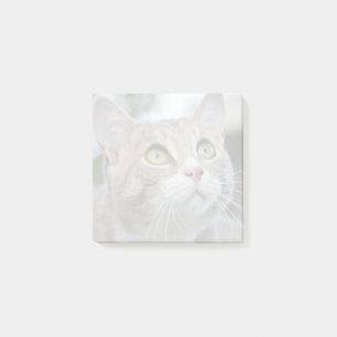Einfach Ihre eigenen verschleierten Pet-Foto Post Post-it Klebezettel