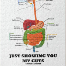 Einfach meine Gedanken zeigen (Digestive System Sp