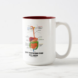 Einfach meine Innereien zeigen (Verdauungssystem i Zweifarbige Tasse