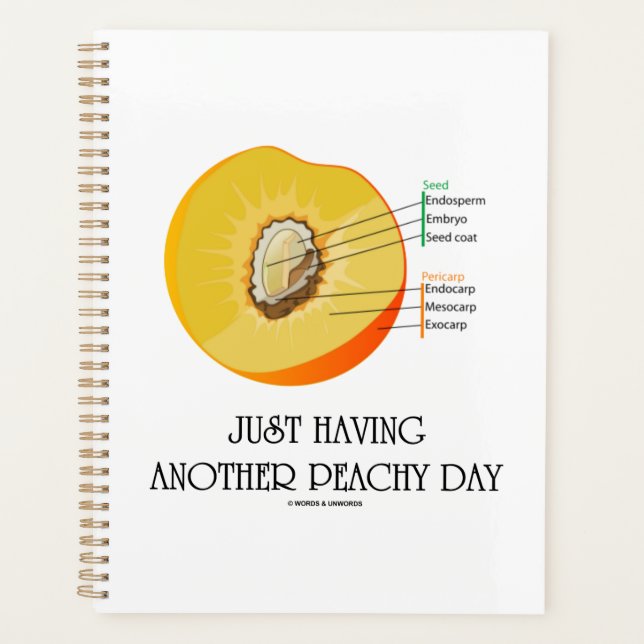 Einfach noch eine Peachy Day Peach Anatomie Planer (Vorderseite)