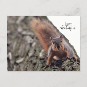 Einfach Postkarte einchecken