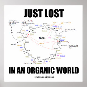 Einfach verloren in einer Bio Welt (Krebs-Zyklus) Poster