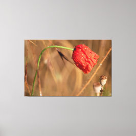 Einfach zum Träumen und EntŌ. Leinwanddruck