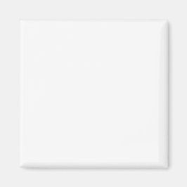 Einfache Authority®-Magnete Magnet