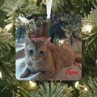 Einfache, benutzerdefinierbare, moderne Foto mit r Ornament Aus Metall