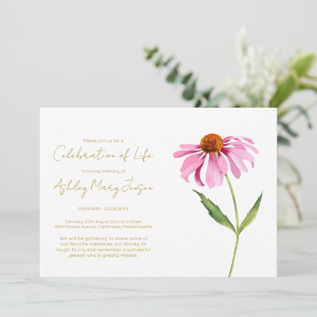 Einfache Echinacea Lebensfeier Beerdigung Einladung (Stehend Vorderseite)