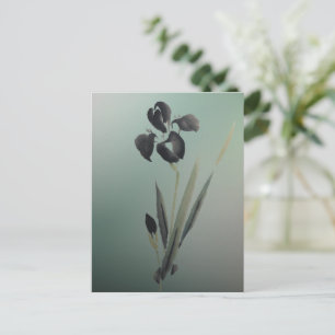 Einfache Elegant Moderne Ukiyo-e japanische Iris Postkarte